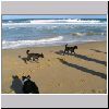 Beach House Easter 2005_008.jpg
